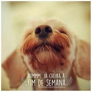 Bom fim de semana!.jfif