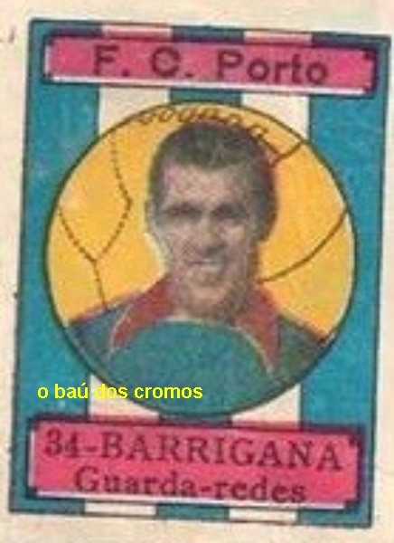 barrigana-porto-12670536_625619977589519_667635498