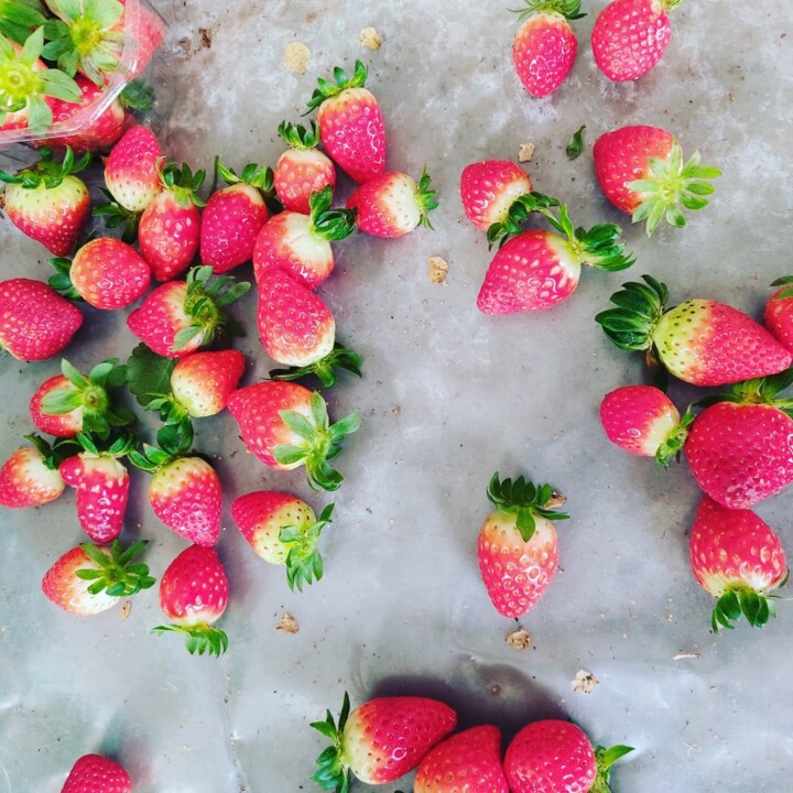 478291036_18460767730066958_4831873714686196646_n.