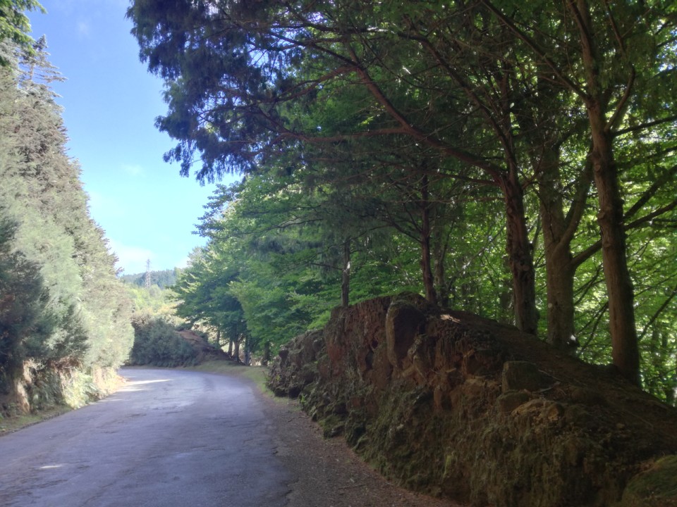 IMG_20190630_110602.jpg IMG_20190630_110602.jpg