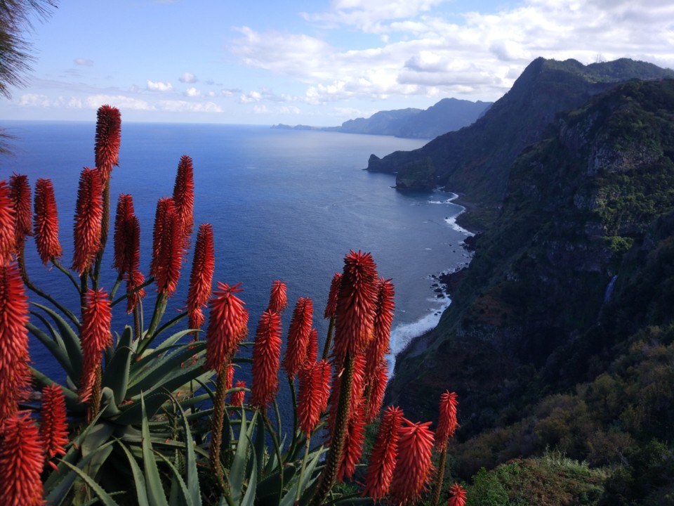 IMG_20190115_144230.jpg IMG_20190115_144230.jpg