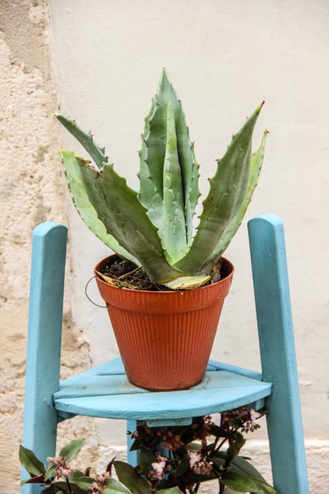 rua da silva 3.jpg rua da silva 3.jpg