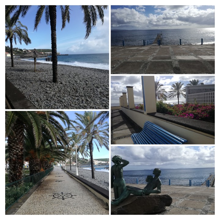 IMG_20191213_131632-COLLAGE.jpg IMG_20191213_131632-COLLAGE.jpg