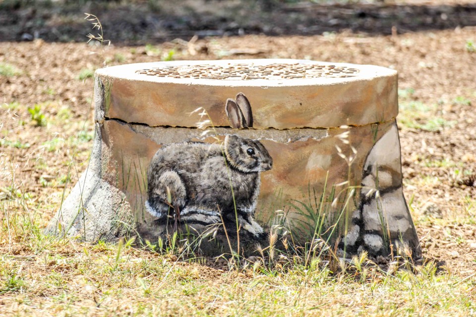 trilho das vinhas-6.jpg trilho das vinhas-6.jpg