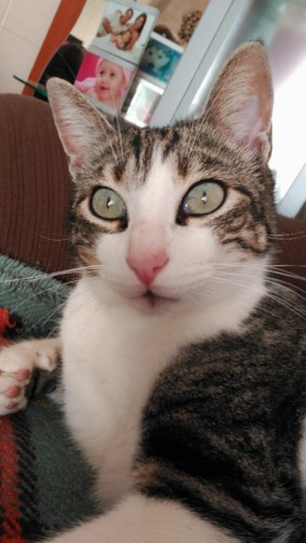 IMG_20190224_153105.jpg IMG_20190224_153105.jpg