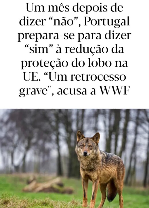 Captura de ecrã 2024-09-27 à(s) 19.55.52.jpeg