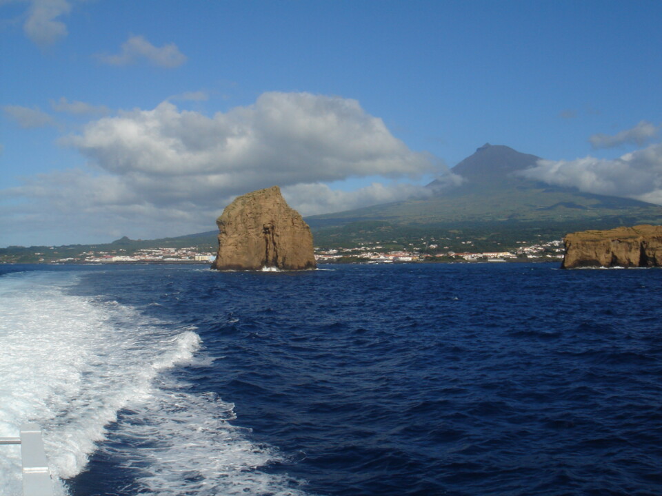 Pico Madalena.JPG
