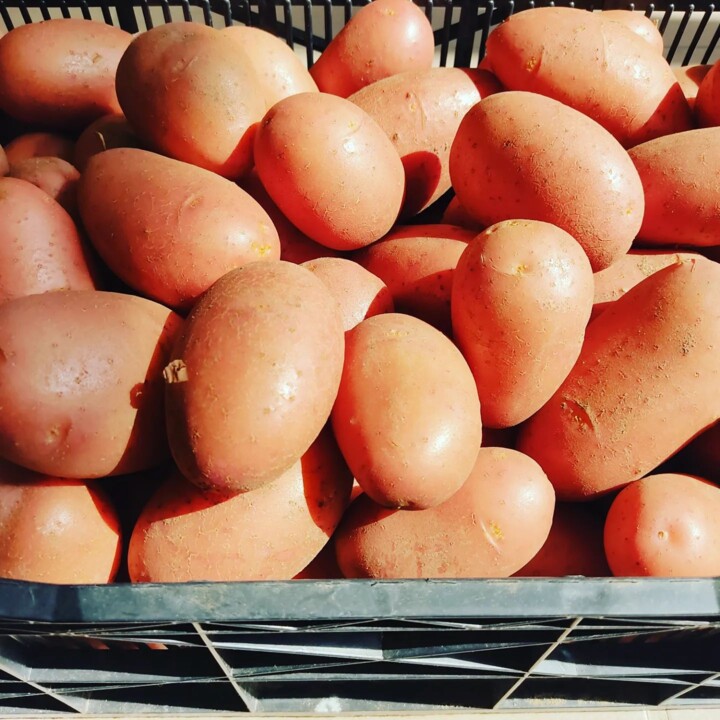 344811445_1251344612164617_6995198064092157654_n.j