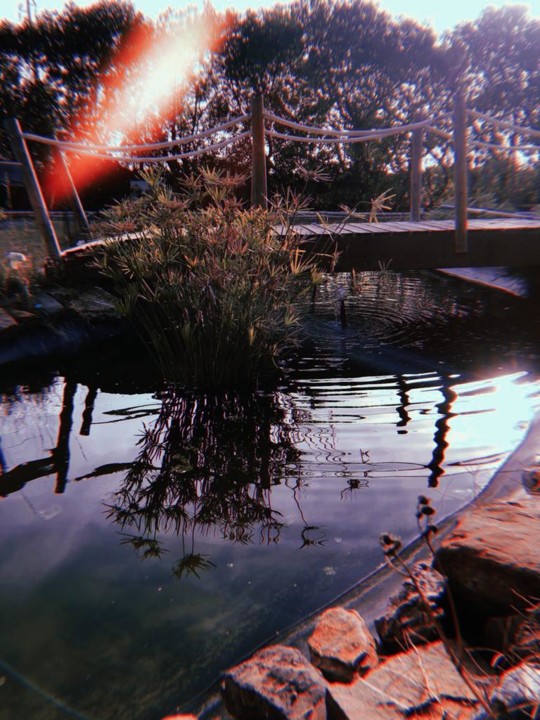 0F6FFBEE-B4D8-4A0D-AFC5-4618606BDB4B.jpeg 0F6FFBEE-B4D8-4A0D-AFC5-4618606BDB4B.jpeg