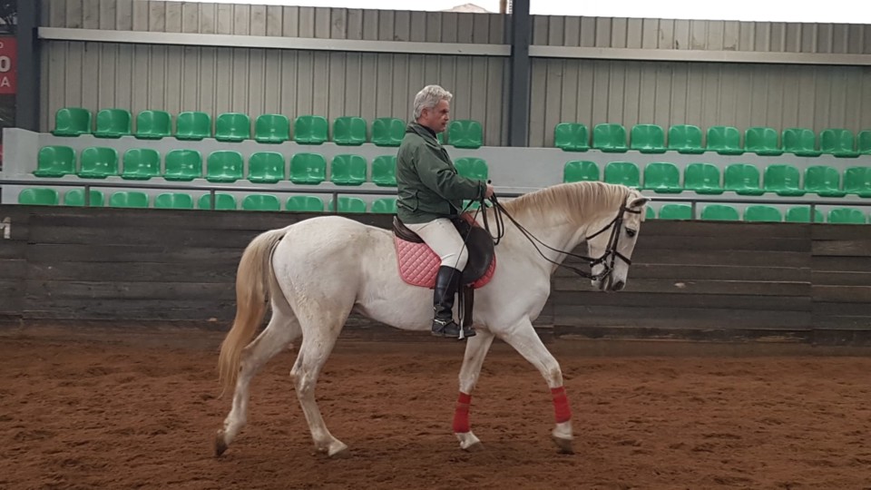 18FEV19-1.jpg 18FEV19-1.jpg