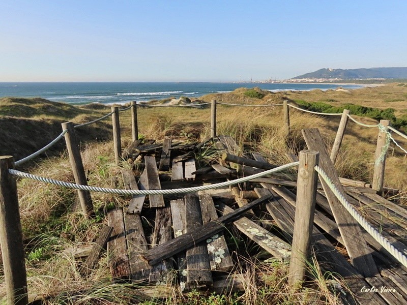 127932062_10225202116906543_2646618103690411560_n.