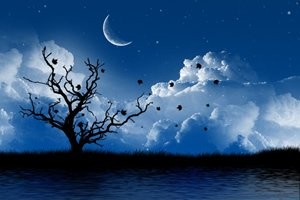 noite 2.jpg noite 2.jpg