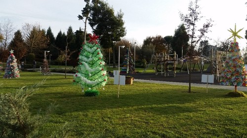 árvores e presépios.jpg