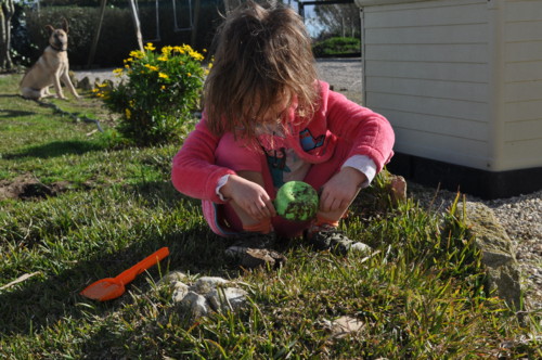 DSC_7575.JPG DSC_7575.JPG