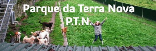 11705113_10156168700920076_9177070177112678373_n.j