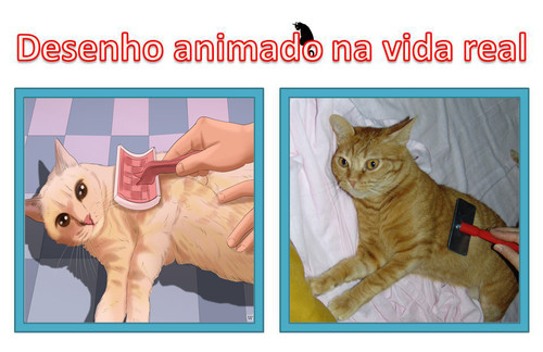 desenhoanimadoreal.jpg