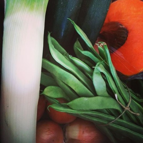 17268754_1444789258886160_9108151026514395136_n.jp