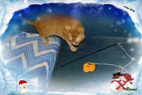 prendanatal2016riscas.jpg prendanatal2016riscas.jpg