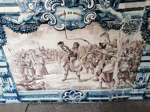 IMG_5507.jpg IMG_5507.jpg