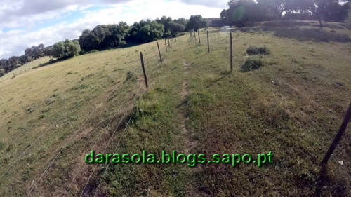 Aqueduto_Prata_Evora_04.jpg Aqueduto_Prata_Evora_04.jpg