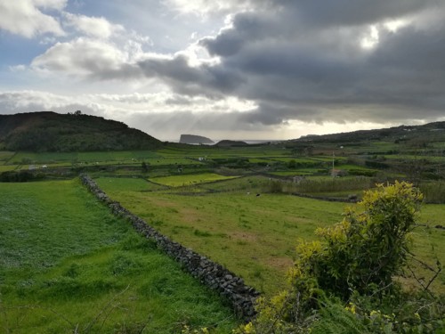 COPYRIGHT: O RAPAZ DAS ILHAS