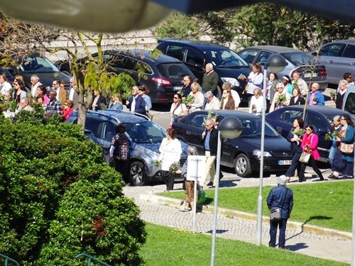 domingo de ramos 002.jpg domingo de ramos 002.jpg