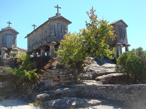 IMG_6872.JPG IMG_6872.JPG