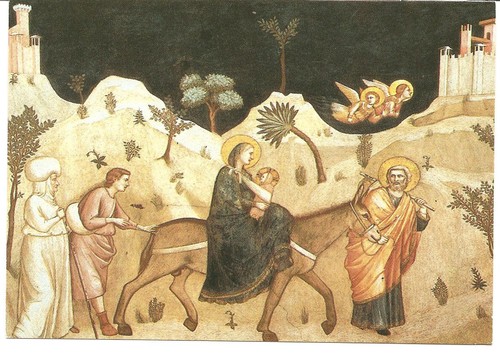 A fuga para o Egipto Gioto.jpg