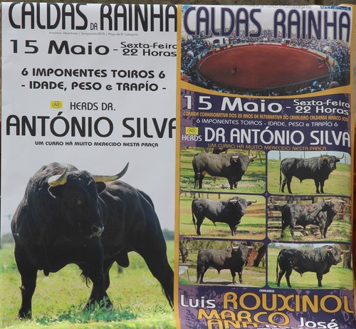 15 maio.jpg 15 maio.jpg