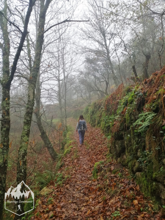 Photo_1582917300768.jpg Photo_1582917300768.jpg