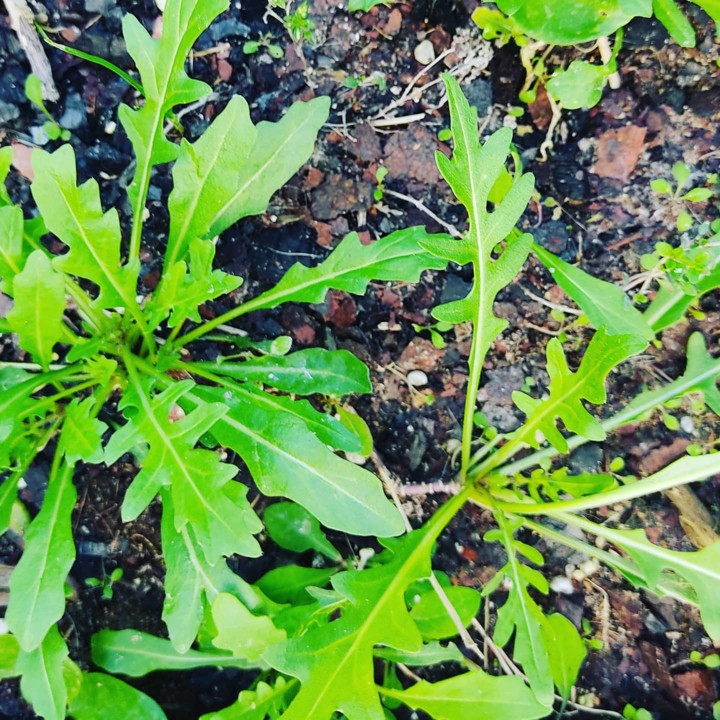 159133026_1973628152776936_5683792685413830571_o.j