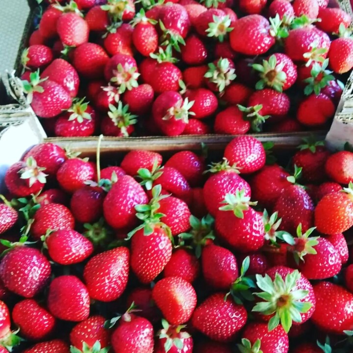 431638004_791799332977479_9003233975929552585_n.jp