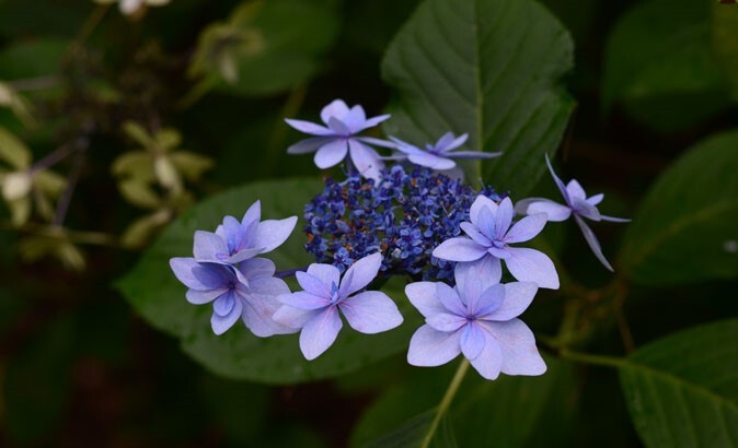 sou daquele tipo de pessoa.jpg