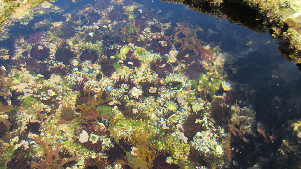 2020-08-09 12.02.14.jpg