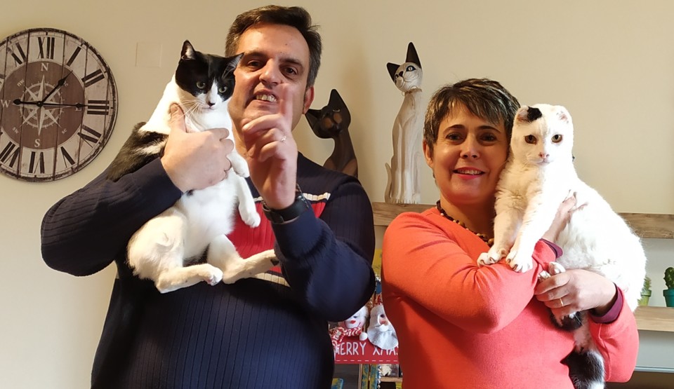 familia cat&#39;s.jpg