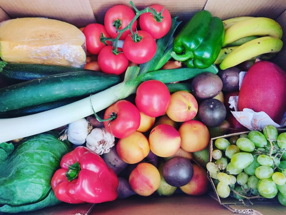 459275947_909946394496105_6779163168940270596_n.jp