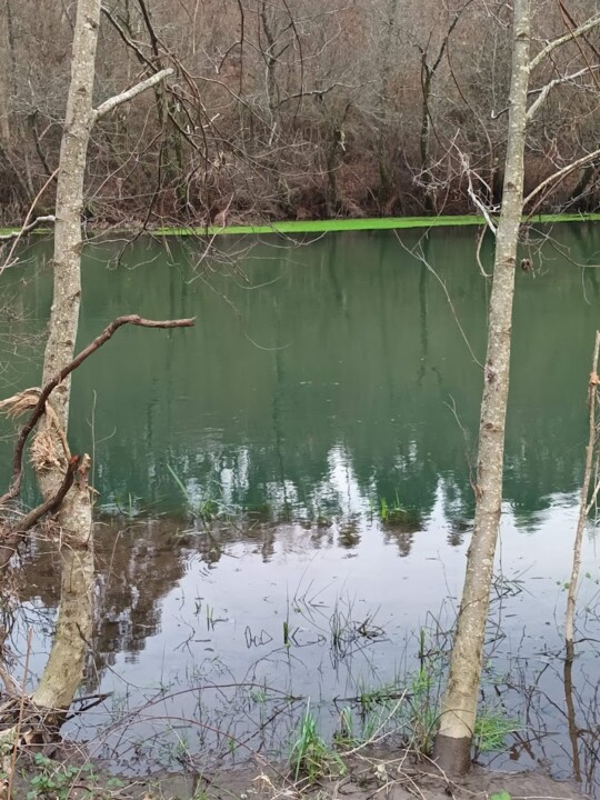 Não me canso disto caminhada1.jpg