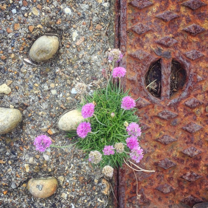 Uma nova semana que começa. .jpg