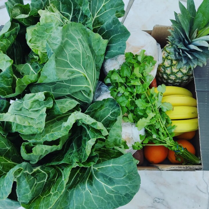 482024002_1038393611651382_6135083495173712090_n.j