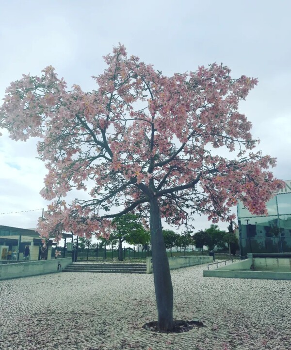 305631820_10224266169060491_7446775648993222159_n.