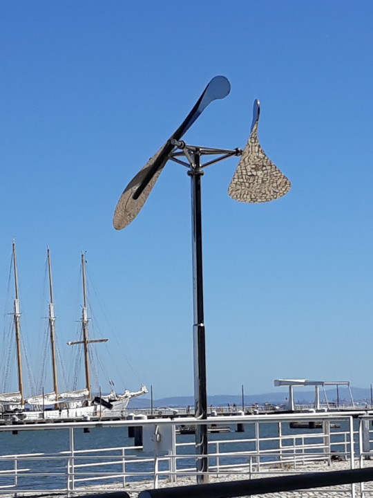 20200802_155911.jpg 20200802_155911.jpg