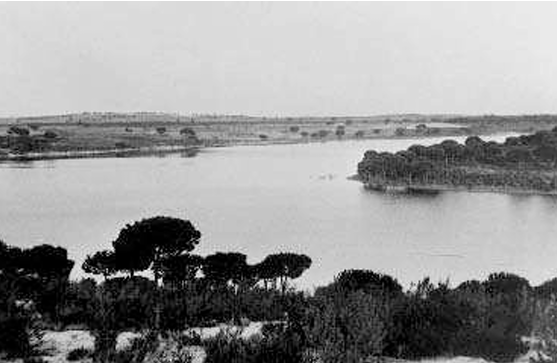 herdade da comporta rio sado.png