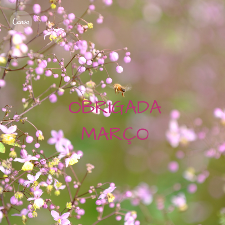 A alegria está na luta, na tentativa, no sofrimen