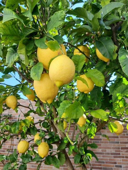 20200219_135702.jpg 20200219_135702.jpg