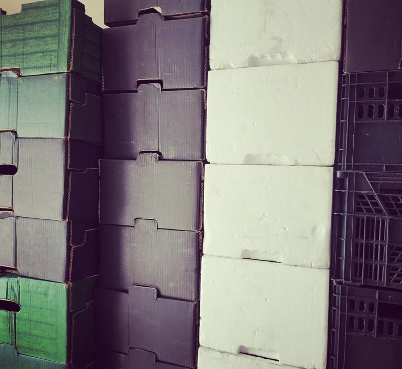 166145950_1985896548216763_2198544222489646916_n.j