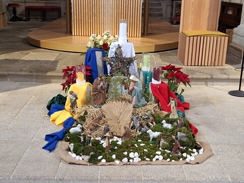 31a_Caminhada_matinal (18).jpg