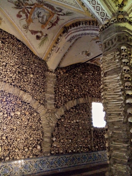 IMG_20190815_131326.jpg IMG_20190815_131326.jpg