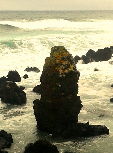 Uma pedra-personagem dos nossos mares...