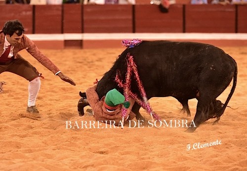 BARREIRA DE SOMBRA31-80-DSC_5678.JPG