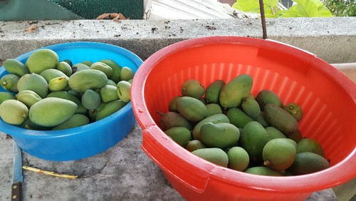 20170714_203342.jpg
